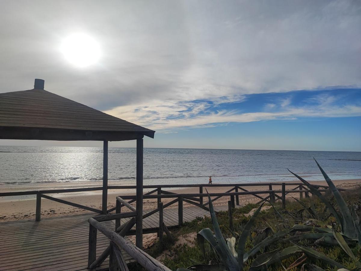 Precioso Bajo Muy Grande A 200 Metros De Playa Apartment